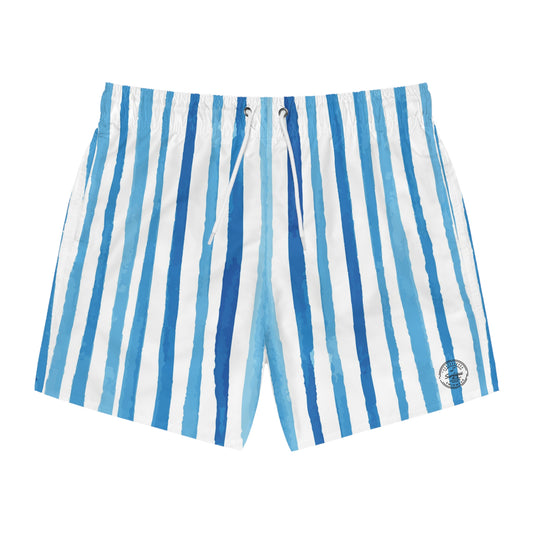 Blue Stripes Swimsuit